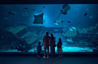 Singapur: Eintrittskarte fürs Ozeanarium mit einfachem Transfer