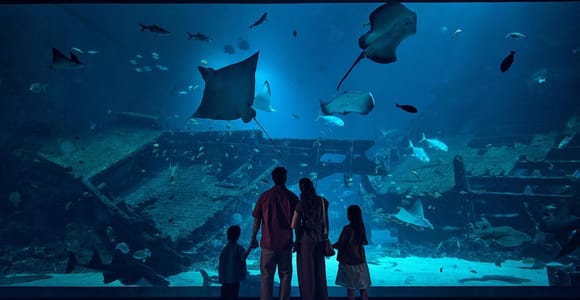Singapore: Oceanarium Entry Ticket with 1-Way Transfer