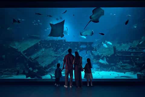 Singapore: Oceanarium Entry Ticket with 1-Way Transfer - Image 3