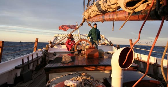 Sydney: Australia Day Tall Ship Cruise with Dinner & Drinks