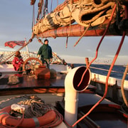 Sydney: Australia Day Tall Ship Cruise with Dinner & Drinks