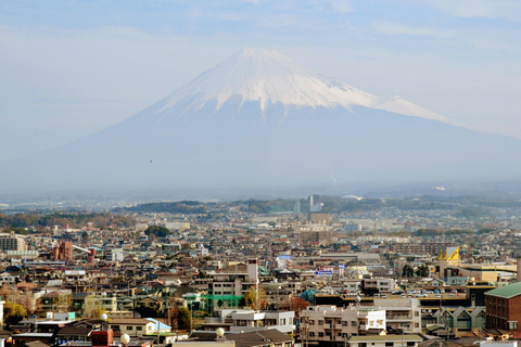 From Tokyo: Mount Fuji Full-Day Customizable & Private Tour Luxury MiniVan (1 upto 6)