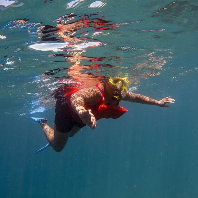 Snorkel en la Isla del Caño | Actividad para toda la familia | GetYourGuide