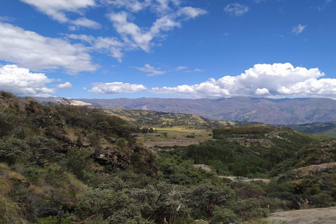 Huaraz: Heldag Honcopampa + Chancos varma källor