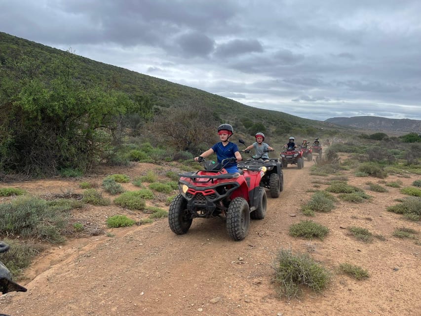 Quad Bike fun ride in Oudtshoorn GetYourGuide