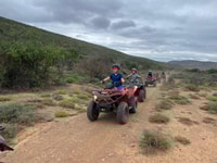 Klein Karoo, Quad Bike Fun Ride in Oudtshoorn con Wildx - Housity