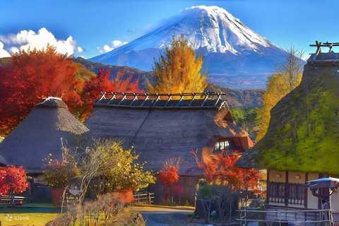 Tokyo: Full-day tour of the four Majestic spots of Mt Fuji