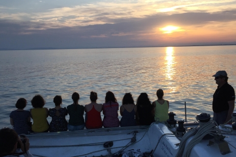 Port Camargue : Excursion d'une demi-journée à bord d'un catamaran de course