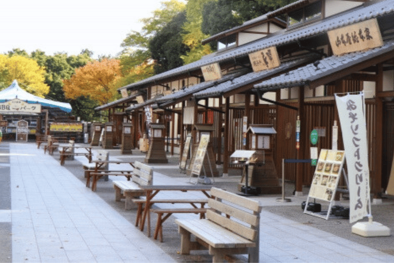 2.5-Hour Nagoya Tour: Castle History, Local Food & City View