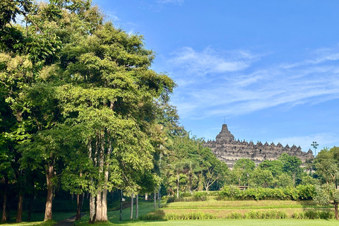 Bali: 5 Days Ijen, Bromo, Borobudur and Prambanan To Jakarta