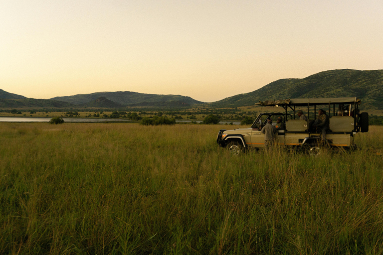 Pilanesberg: Daags safari-avontuur vanuit Johannesburg