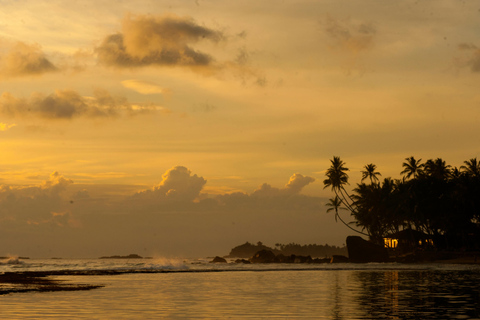 De Colombo: Excursão de 10 dias ao Sri Lanka com guia e hotel