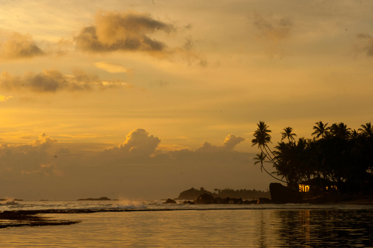 De Colombo: Excursão de 10 dias ao Sri Lanka com guia e hotel