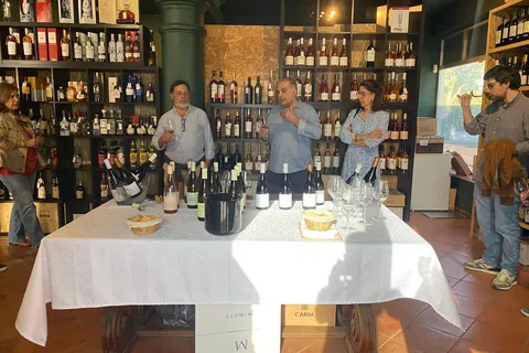 Cascais: Lezione e degustazione di vino a Garrafeira de Cascais