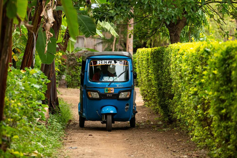 Mto wa Mbu Tuk-Tuk Tagestour mit Dorfbesichtigung