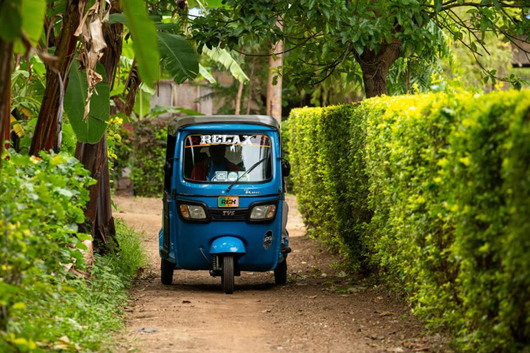 Mto wa Mbu Tuk-Tuk Tagestour mit Dorfbesichtigung