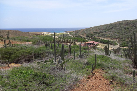 Parque Nacional de Arikok: tour de medio día y buceo con guía