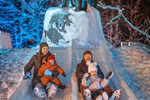 Arctic Fantasy Park Entry Ticket