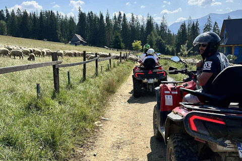 Zakopane: Snowmobile, Quad, or Buggy Tatra Mountains Tour