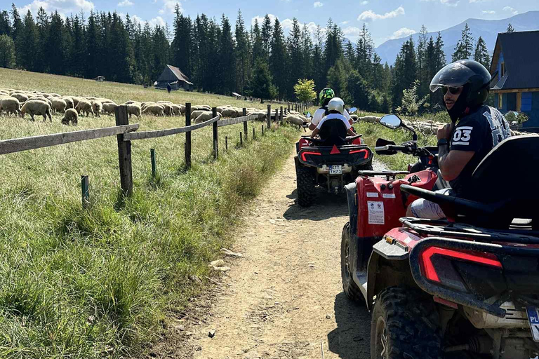 Zakopane: Snowmobile, Quad, or Buggy Tatra Mountains Tour
