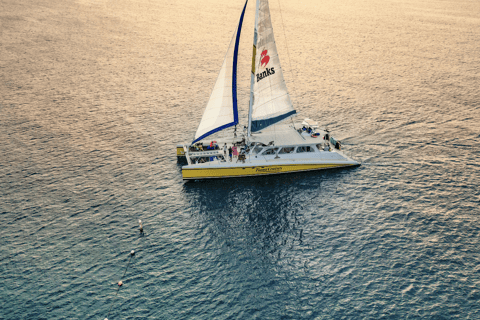 Barbados: Sunset Cruise with Live Steel Pan Music and Dinner