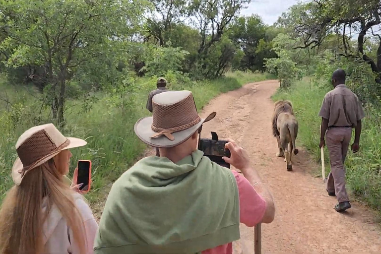 Guided Lion Walk + Predator Tour + Cheetah Demonstration