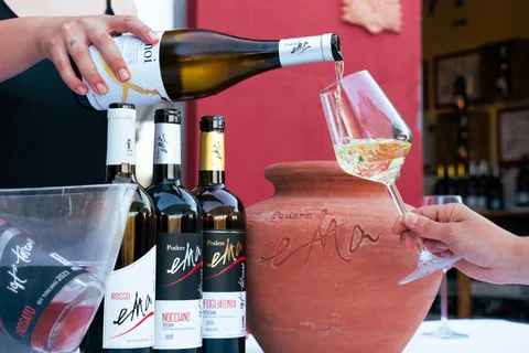 Florence : Dégustation et déjeuner dans les vignobles de la région du Chianti en Toscane