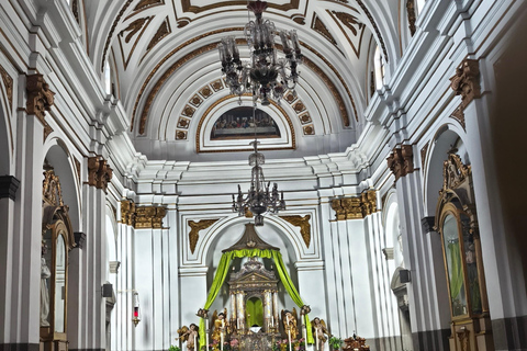 Tour of La Aurora Zoo, Historic Center, and Ciudad Cayalá in Guatemala