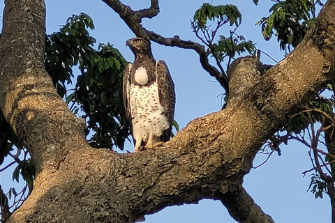 Shimba Hills tropischer Regenwald Tagestour