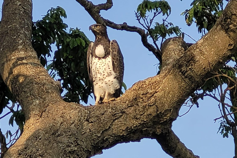 Shimba Hills tropischer Regenwald Tagestour