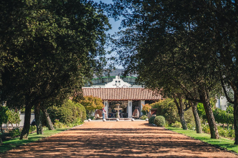 Santiago: Casablanca Wine Tour — 2 Award-Winning Wineries