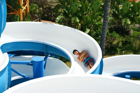 Oahu: Wet 'n' Wild Waterpark Ticket with Waikiki Transfer