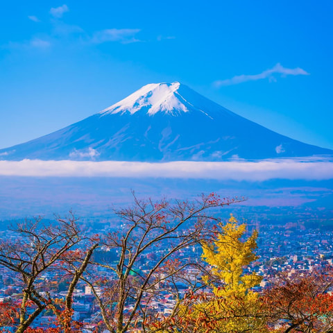 From Tokyo: Mount Fuji Customized Tour With English Guide