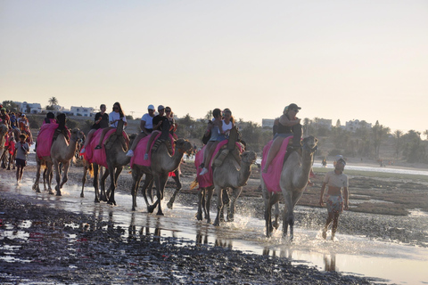 Djerba: Camel Ride to the Blue Lagoon at Sunset