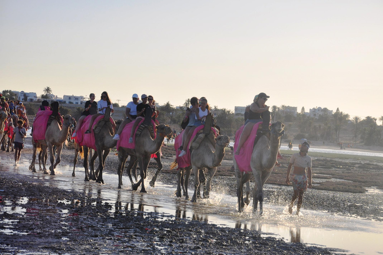 Djerba: Giro in cammello verso la Laguna Blu al tramonto