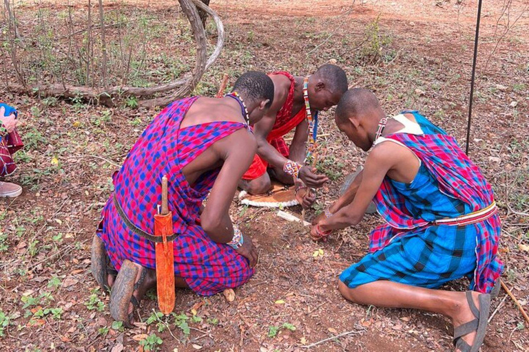 EXCURSION D&#039;UNE JOURNÉE DANS UN VILLAGE MASAI