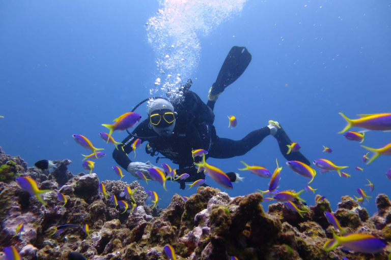 Maurice: aventure de plongée sous-marine de 3 heures sur la côte estMaurice: aventure de plongée de 3 heures sur la côte ouest