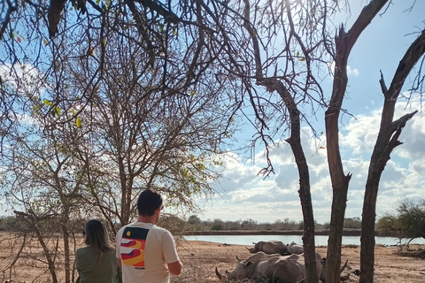马普托：2 天斯威士兰野生动物园和文化之旅