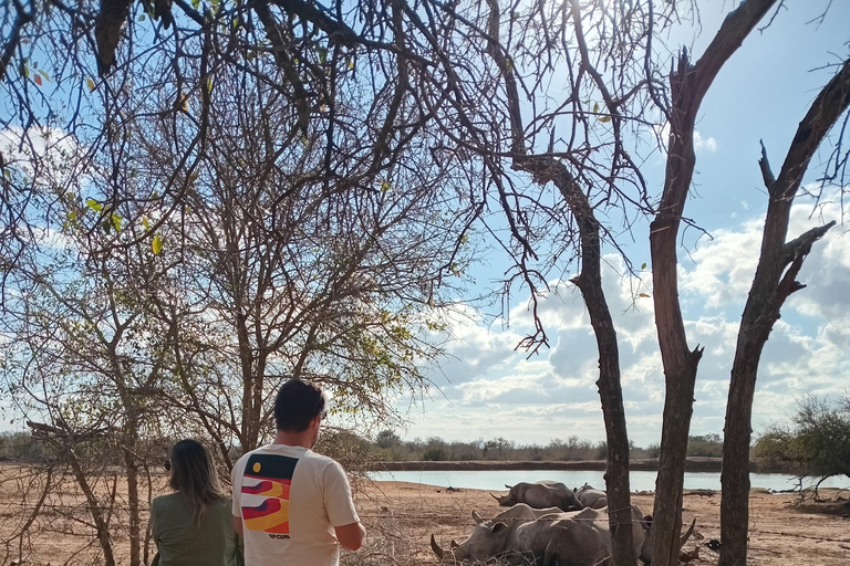 马普托：2 天斯威士兰野生动物园和文化之旅