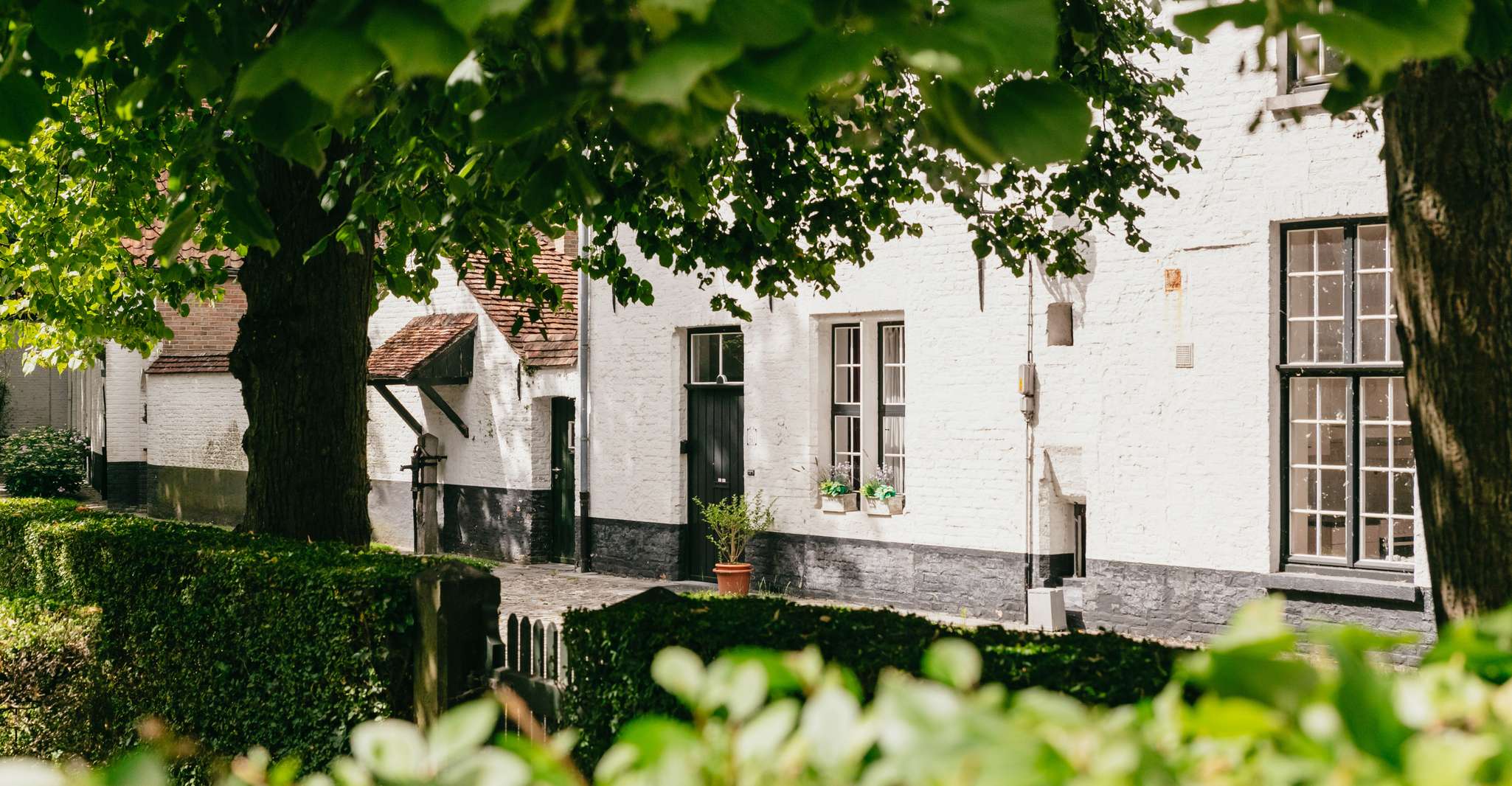 From Brussels: Guided Day Trip to Bruges and Ghent photo 7