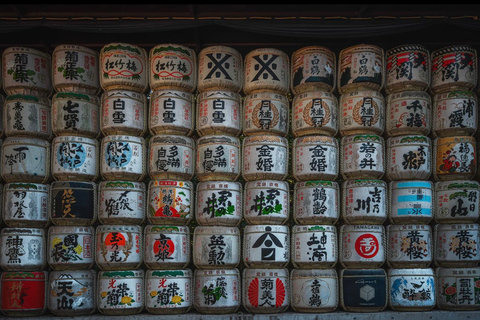 Tokyo full day Spanish speaking tour with hotel pick up and drop off.