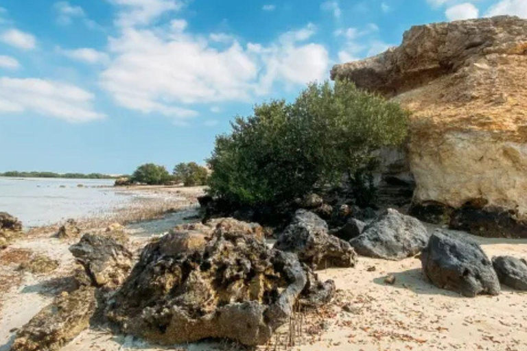 الدوحة: جولة إيكولوجية بصحبة مرشد في غابة المفرق المانغروفالدوحة: جولة إيكولوجية بصحبة مرشدين في غ