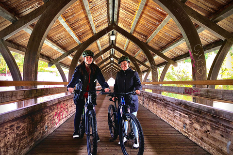 Innsbruck: Passeio panorâmico de eBike na montanha