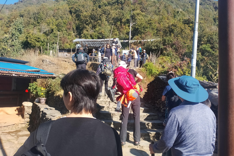 波塔纳与澳大利亚营地短途徒步（从博卡拉出发）短途徒步：从博卡拉出发前往波塔纳与澳大利亚营地