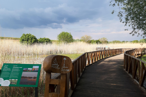 探索克罗地亚东部：葡萄酒、自然和遗产私人观光
