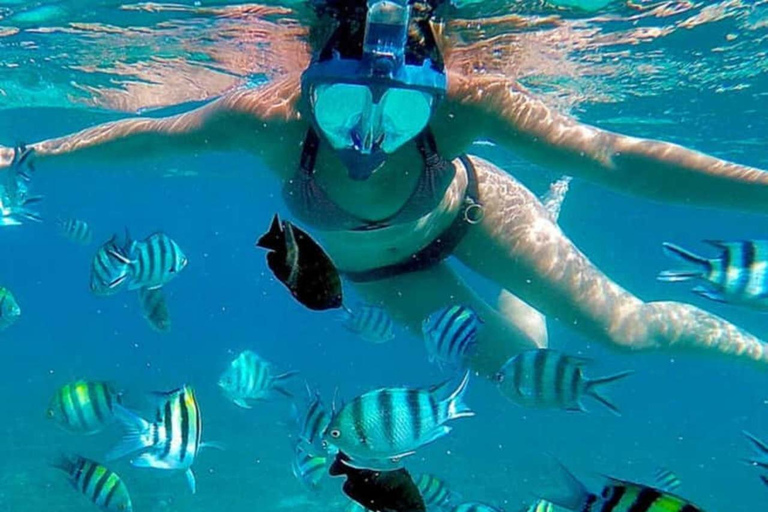 ZANZIBAR: Atemberaubende natürliche Lagune und Seestern-TourZANZIBAR: Wunderschöne natürliche Lagune und Seestern-Tour