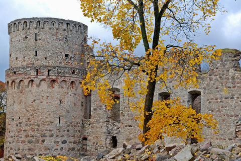From Riga: Sigulda, Cēsis & Gauja National Park Tour