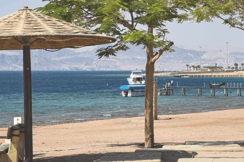 Aqaba: Paquetes de Buceo con Kits Desde 1 día hasta 5 días5 Días - 10 Inmersiones