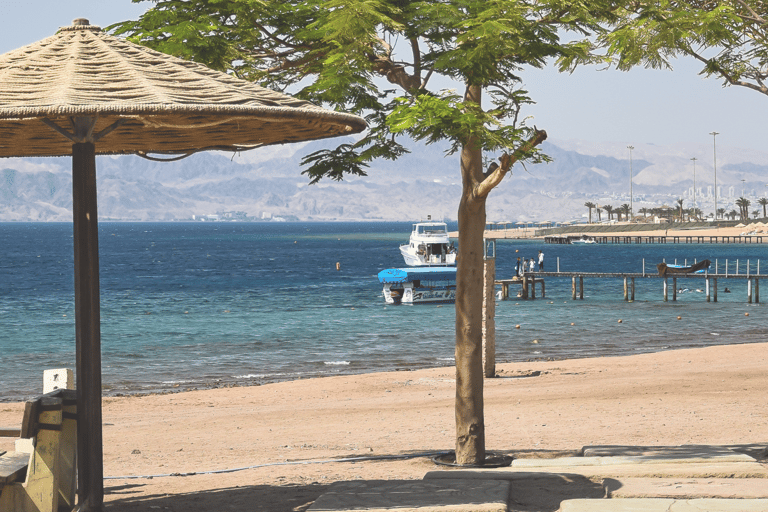 Aqaba: Dive Packages with Kits Start from 1 day to 5 days 4 Days - 8 Dives