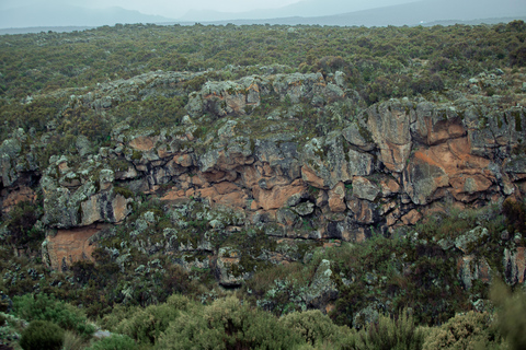 Moshi: Mount Kilimanjaro Day Trip – Marangu Route Day Hike